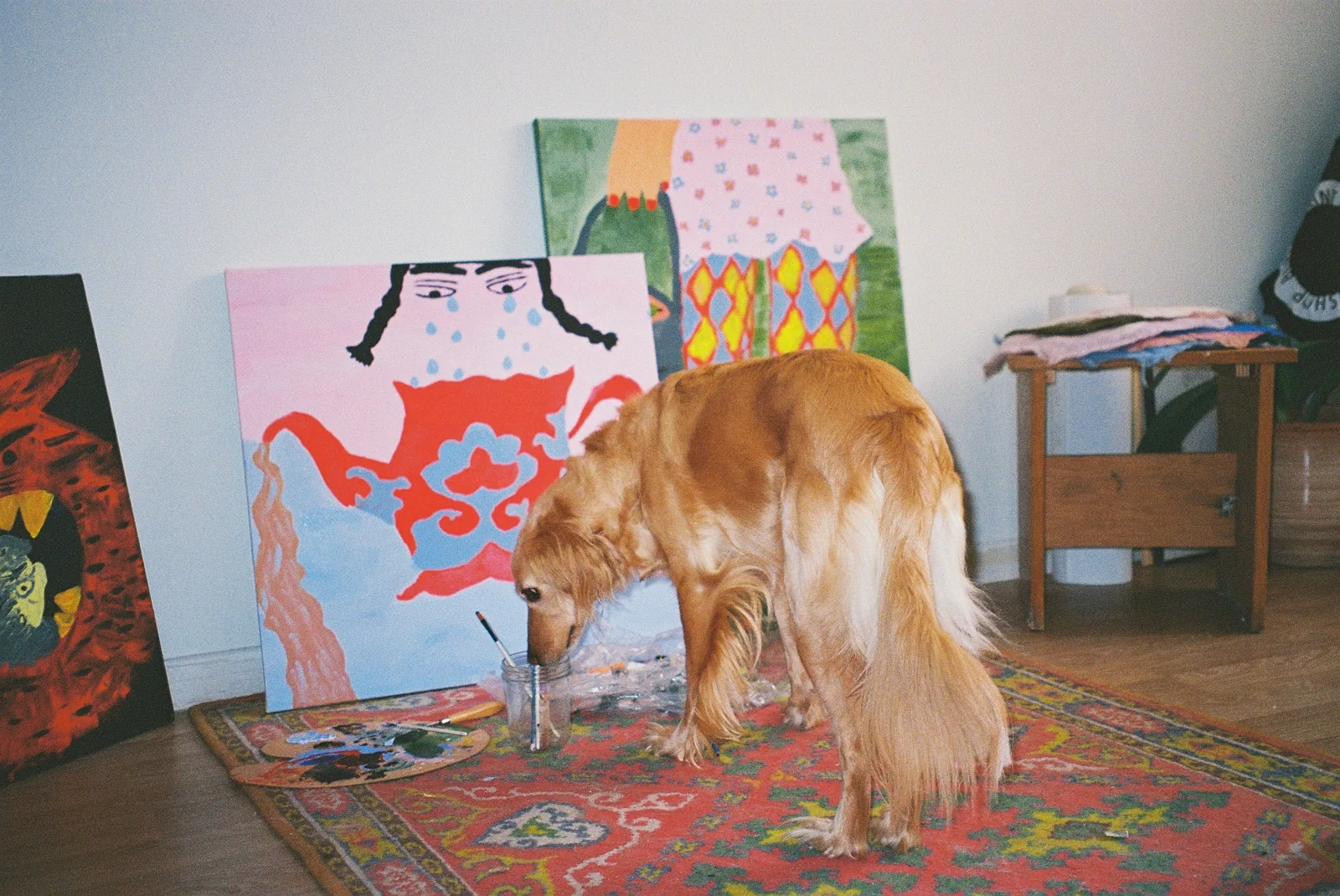 A dog beside paintings and brushes in the studio